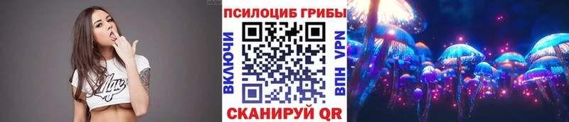 Псилоцибиновые грибы мицелий  купить наркотики цена  Сковородино 
